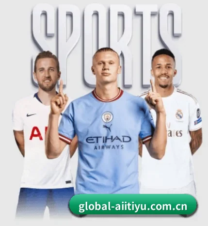 五大服务分区,信息按项目分类 | aitiyu